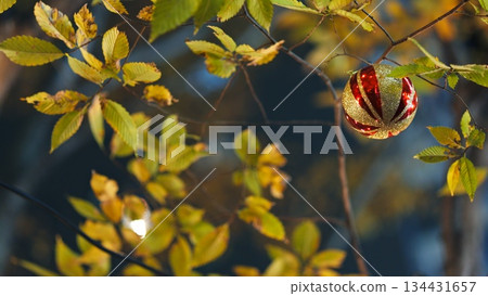 Christmas illumination  134431657