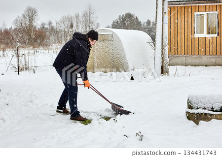 Shoveling snow in warm winter clothes man leaning forward and driving snow shovel along narrow path beside wooden house on quiet snowy morning. 134431743