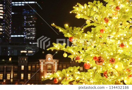 東京車站前的聖誕樹 134432186