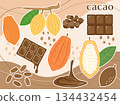 A set of cacao fruit and chocolate illustrations perfect for Valentine's Day, with a white border 134432454