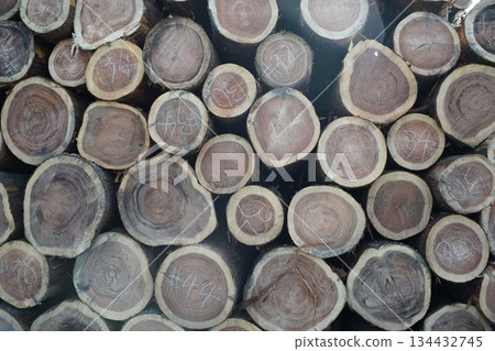 Stacked wood 134432745