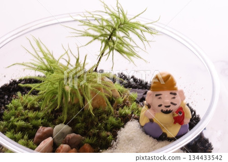 植物和幸運符 植物和幸運符 134433542