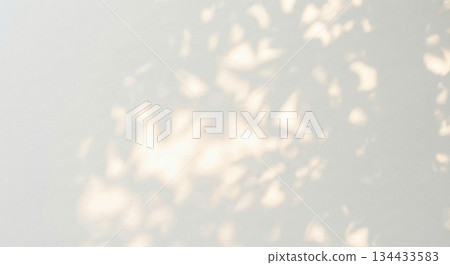 Plants, shadows, light, sunlight, sunlight filtering through the trees 134433583