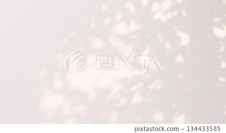 Plants, shadows, light, sunlight, sunlight filtering through the trees 134433585
