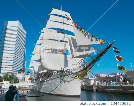 日本丸帆船，文化日滿帆航行，城市景觀（2024年11月） 134433622