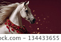 Majestic white horse adorned with floral garland against a rich burgundy background 134433655