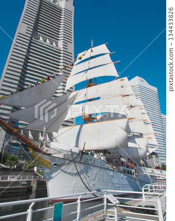 Nippon Maru sailing ship, full sail on Culture Day, cityscape (November 2024) 134433826