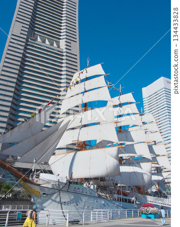 Nippon Maru sailing ship, full sail on Culture Day, cityscape (November 2024) Nippon Maru sailing ship, full sail on Culture Day, cityscape (November 2024) 134433828