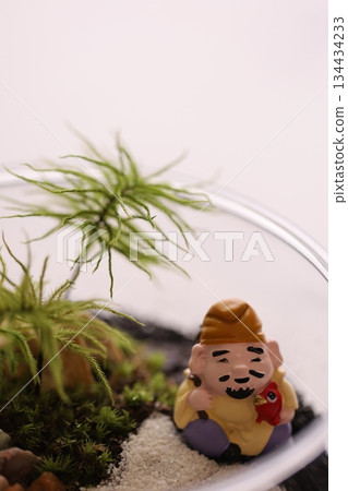 植物和幸運符 植物和幸運符 134434233