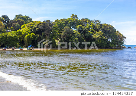 Longtail boat long tail boats at jungle Patong Beach Thailand. 134434337