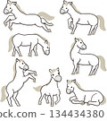White horse set 134434380