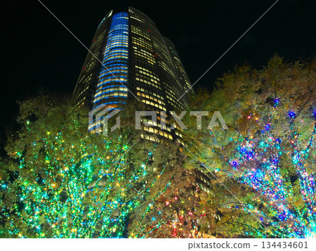 Roppongi Hills at night with beautiful Christmas illuminations (November 2025) 134434601