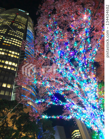 Roppongi Hills at night with beautiful Christmas illuminations (November 2025) 134434682