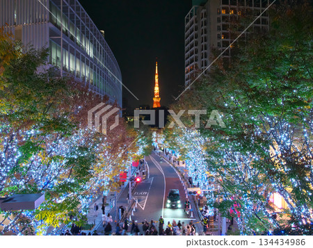 六本木櫸坂街和東京鐵塔的城市景觀擁有美麗的聖誕燈飾（2025年11月） 134434986