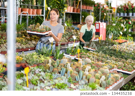 Woman choosing potted plants - different small prickly cactus for her home apartment in greenhouse or flower store Woman choosing potted plants - different small prickly cactus for her home apartment in greenhouse or flower store 134435238