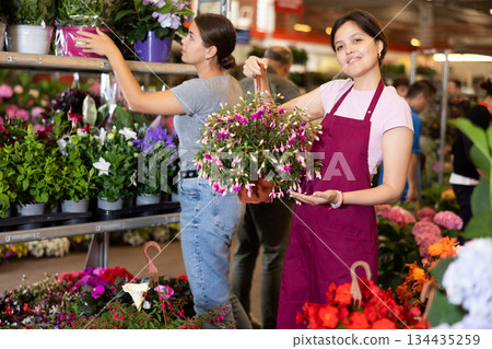 Owner of flower shop demonstrates beautiful potted flowers Owner of flower shop demonstrates beautiful potted flowers 134435259