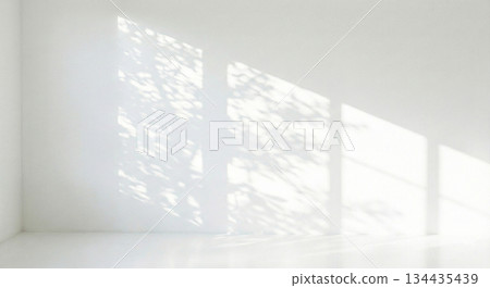 植物、陰影、光線、陽光、透過樹木灑下的陽光 134435439