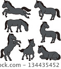 Black horse set 134435452