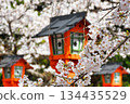 Beautiful cherry blossoms at Hirano Shrine, Kyoto (Kita Ward, Kyoto City, Kyoto Prefecture) 134435529