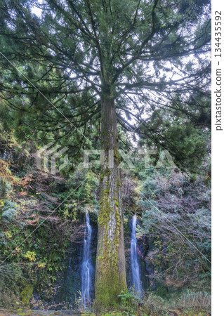 Ibi River Meoto Falls 134435592