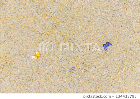 Thailand beach sand with colorful mussels shells and water texture. 134435795