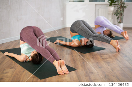 Young female yoga instructor showing others plough pose in wellness center Young female yoga instructor showing others plough pose in wellness center 134436485