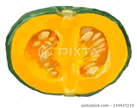半個南瓜的插圖 半個南瓜的插圖 134437229