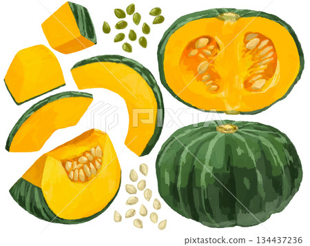 各種切法的南瓜插圖集 [蔬菜食品種子] 134437236