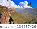 Blue Mountains National Park eucalyptus forest landscape 134437426
