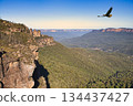 Blue Mountains National Park eucalyptus forest landscape 134437427
