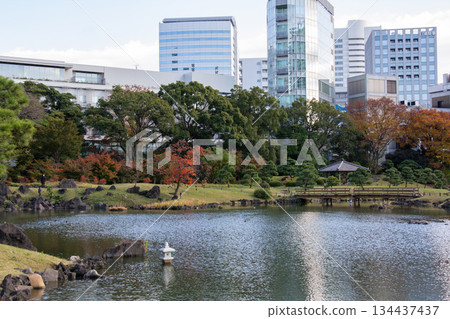 舊芝離宮庭園池塘和木橋的景色 134437437