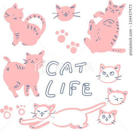 可愛的粉紅貓咪插畫集 134437473