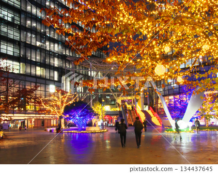 沃特拉斯 (WATERRAS) 的美麗燈光秀 - 城市夜景（2025 年 11 月） 134437645