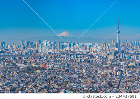 [Tokyo] Tokyo cityscape with Skytree and Mount Fuji in the background 134437691