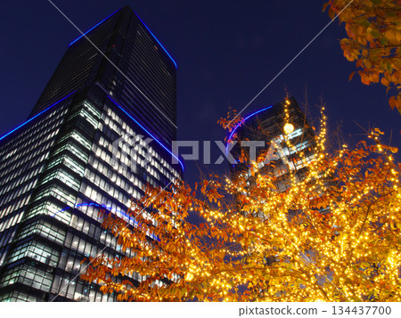 Beautiful illuminations at WATERRAS - Evening view of the cityscape (November 2025) 134437700