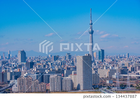 [Tokyo] Tokyo cityscape: Sumida Ward, Koto Ward, Edogawa Ward 134437887