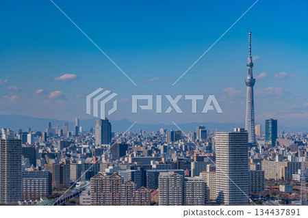 [Tokyo] Tokyo cityscape: Sumida Ward, Koto Ward, Edogawa Ward 134437891