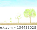 A watercolor illustration showing the four stages of growth from sprout to young tree. 134438028