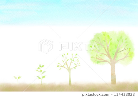 A watercolor illustration showing the four stages of growth from sprout to young tree. 134438028