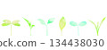 A horizontal line material with six different types of sprouts lined up. 134438030