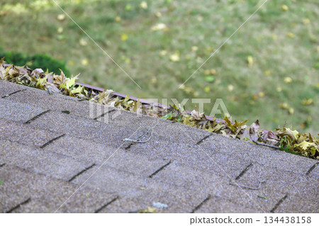 Leaves gather on a rooftop in autumn near grassy yard as nature transitions to winter Leaves gather on a rooftop in autumn near grassy yard as nature transitions to winter 134438158