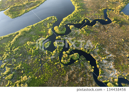 Beautiful nature. Southern Florida wetlands with river between green wild vegetation. Tropical ecosystem 134438456