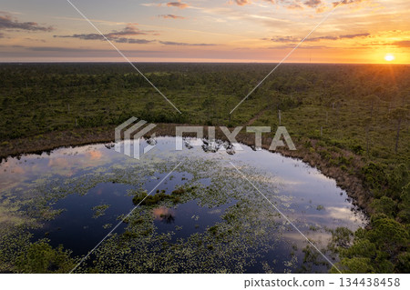 Beautiful nature landscape at sunset. Forest lake wildlife in Florida 134438458