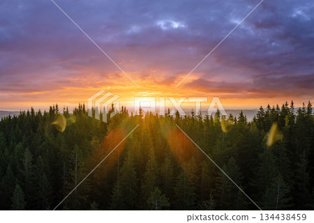 Beautiful landscape. Dramatic sunset over highland terrain. Dark pine forest illuminated with bright setting sun. Colorful nature of wild mountains 134438459