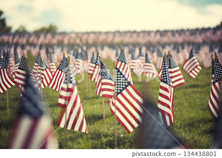 Memorial Day tribute. Many small American flags on a green lawn, neural network generated photorealistic image 134438801