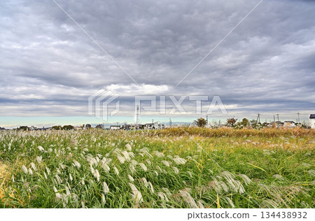 Walking in Koshigaya - Oochi Furutone River riverbed, Koshigaya City, Hirakata Walking in Koshigaya - Oochi Furutone River riverbed, Koshigaya City, Hirakata 134438932