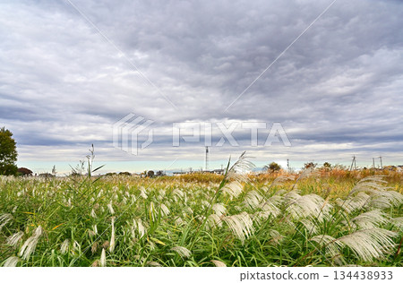 Walking in Koshigaya - Oochi Furutone River riverbed, Koshigaya City, Hirakata Walking in Koshigaya - Oochi Furutone River riverbed, Koshigaya City, Hirakata 134438933