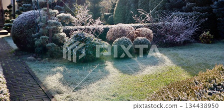 Garden landscape covered in hoarfrost during a cold winter morning, with sunlight creating long shadows on the frozen grass Garden landscape covered in hoarfrost during a cold winter morning, with sunlight creating long shadows on the frozen grass 134438950