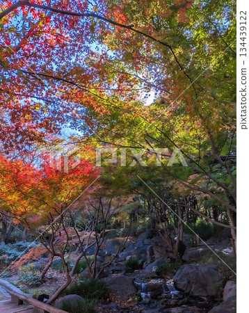 Shirotori Garden, Mountain Stream 134439122