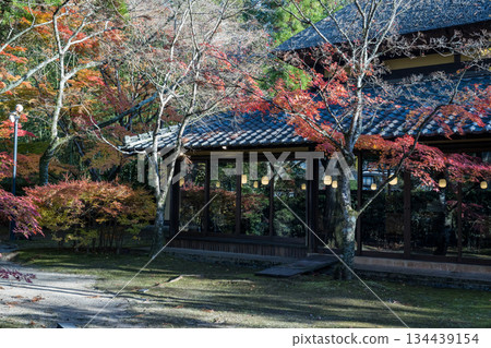 Autumn leaves at Yufuin Lake Kinrinko Autumn leaves at Yufuin Lake Kinrinko 134439154
